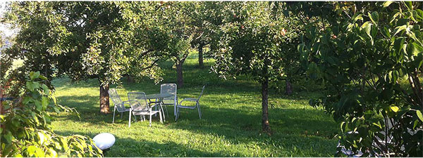 Gartensitzplatz unter Apfelbäumen